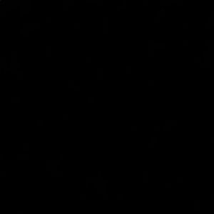 Meet your Posher, Kenzie